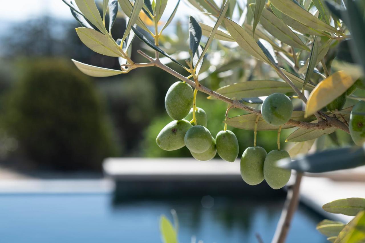 La Bastide Des Culs-Rousset Ξενοδοχείο Μασσαλία Εξωτερικό φωτογραφία